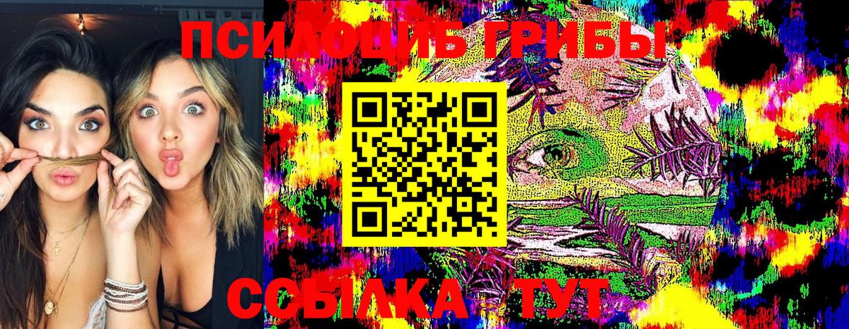 сколько стоит  Вход с VPN  Донецк  Псилоцибиновые грибы Cubensis 